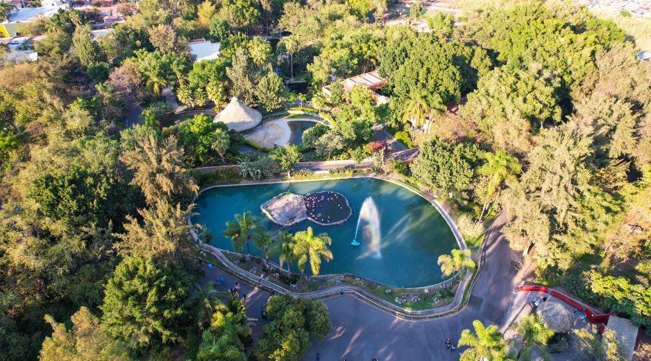 El Zoológico Guadalajara es un lugar seguro en el que las familias pueden pasar un día conectando con la naturaleza al observar en el fondo la impresionante barranca de Huentitán. EL INFORMADOR / ARCHIVO