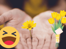 El 21 de marzo se regalan flores amarillas. UNSPLASH/ L. Trochez