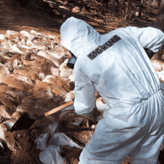 La Marina desmantela narcolaboratorio en Zacatecas