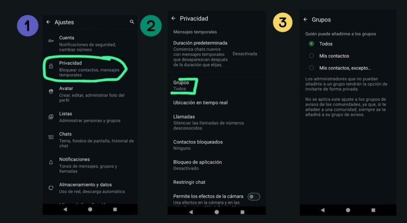 Captura de Pantalla / Canva