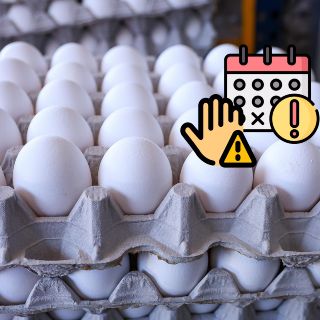 ¿Los huevos caducan? ¿Cómo saberlo?