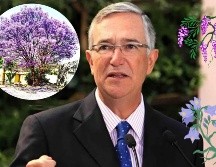 Gracias a su iniciativa y al respaldo del gobierno de Álvaro Obregón, las jacarandas comenzaron a poblar las principales avenidas y calles de la ciudad, dando lugar al espectáculo primaveral que hoy en día enamora a locales y visitantes por igual. NTX/ARCHIVO