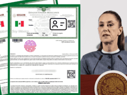 La mandataria federal indicó que se está revisando lo de la credencialización por medio de la CURP. EFE/J. MÉNDEZ ESPECIAL