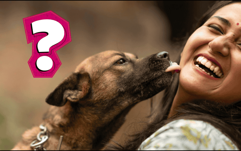 Si no quieres que tu perro te lama, puedes redirigir su comportamiento dándole juguetes o premiándolo cuando se comporte de otra manera. CANVA