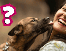 Si no quieres que tu perro te lama, puedes redirigir su comportamiento dándole juguetes o premiándolo cuando se comporte de otra manera. CANVA