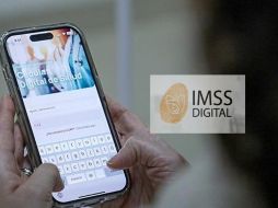 Sigue estos pasos para consultar Cédula Digital de Salud. ESPECIAL / IMSS