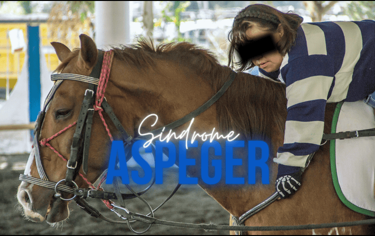 Entre las sugerencias de tratamientos destacan la equinoterapia, en la cual conviven y montan un equino, lo que se incentiva de manera masiva al cerebro. SUN / ARCHIVO