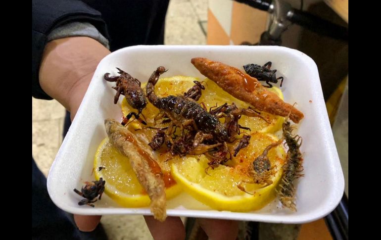 En la Conferencia Gastronómica 2025 abrieron la posibilidad de acercarse a los insectos como comida del futuro. NTX / ARCHIVO
