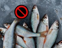 1 de cada 5 peces que llegan a nuestros platos proviene de la pesca ilegal o irregular. Pexels y Canva