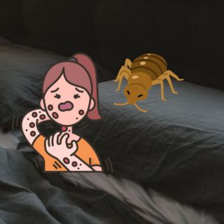 La solución definitiva para deshacerte de las chinches usando su debilidad