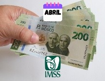 Cualquier duda o consulta adicional puede ser aclarada a través de los canales de comunicación oficiales del IMSS. ESPECIAL / CANVA
