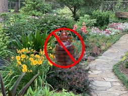 Primavera: Una estación que, además de calor, atrae a varios insectos. UNSPLASH / A. GRACE