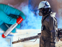 En total, 11 mil 111 casos fueron clasificados como dengue grave o dengue con signos de alarma, de los cuales 880 correspondieron a casos graves y el resto presentaron síntomas de alarma. EL INFORMADOR / ARCHIVO