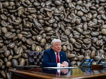Los productores de café en México se enecuentran nerviosos ante el anuncio de aranceles de Trump el día de hoy. EL INFORMADOR / EFE / ARCHIVO