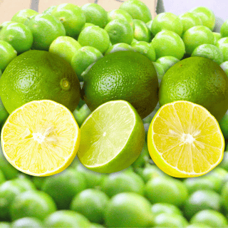 ¿Qué nutrientes tienen las semillas de limón?