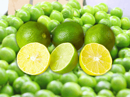 Las semillas del limón no son tóxicas. EL INFORMADOR / ARCHIVO