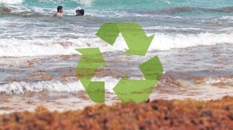 Buscan utilizar el sargazo acumulado en playas. SUN / ARCHIVO