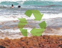 Buscan utilizar el sargazo acumulado en playas. SUN / ARCHIVO