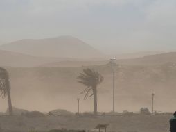 El frente frío número 37, combinado con otros fenómenos meteorológicos, dará paso a rachas de viento intensas en el noroeste, norte y noreste de México. EFE / A. PERDOMO