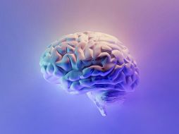 La inteligencia emocional, además de influir en lo que sentimos, influye en como pensamos. UNSPLASH/ M. Fakurian