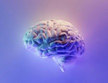 La inteligencia emocional, además de influir en lo que sentimos, influye en como pensamos. UNSPLASH/ M. Fakurian