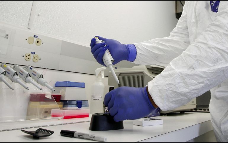 La influenza zoonótica es una enfermedad que puede transmitirse de aves u otros animales a los seres humanos, aunque no hay evidencia de transmisión sostenida de persona a persona. EFE / ARCHIVO