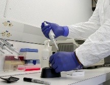 La influenza zoonótica es una enfermedad que puede transmitirse de aves u otros animales a los seres humanos, aunque no hay evidencia de transmisión sostenida de persona a persona. EFE / ARCHIVO