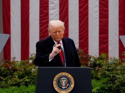 Trump tendrá 175 mil millones de dólares en seguridad fronteriza y 150 mil millones para defensa. EFE / ARCHIVO