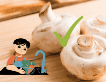 Una vez lavados, es recomendable consumirlos lo antes posible para aprovechar al máximo su frescura y evitar que se deterioren. CANVA