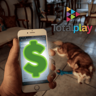 Así fue la llamada de Profeco a Totalplay; esto se acordó