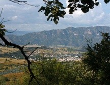 Tequila es uno de los puntos más visitados por turistas locales en temporada de puentes y sobre todo durante las vacaciones. EL INFORMADOR / ARCHIVO