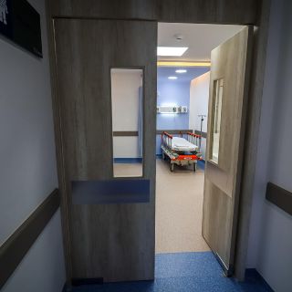 Muere niña de 3 años con gripe aviar, el primer caso humano en México