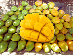 El mango es rico en vitaminas y minerales. EL INFORMADOR / ARCHIVO