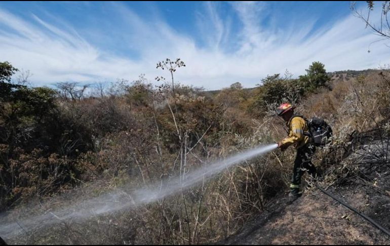 Bosque La Primavera permanecerá abierto durante la temporada de estiaje, señala el alcalde de Zapopan Juan José Frangie. ESPECIAL / SEMADET
