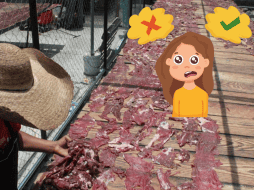 Es importante moderar el consumo de carne seca debido a su contenido de sal. GOBIERNO DE JALISCO / CANVA