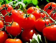 Sus beneficios antioxidantes, cardiovasculares, inmunológicos y digestivos lo convierten en un alimento funcional que no debería faltar en tu alimentación diaria. CANVA