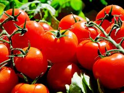 Sus beneficios antioxidantes, cardiovasculares, inmunológicos y digestivos lo convierten en un alimento funcional que no debería faltar en tu alimentación diaria. CANVA