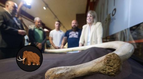Una asociación avisó e descubrimiento de una costilla completa de 1,40 metros, que se cree que podría ser de un mamut de unas 8 toneladas de peso. EFE/ M. Guillén