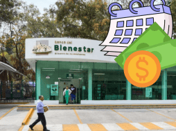 Es crucial conocer los requisitos necesarios para inscribirse en el programa y mantener el acceso a este importante beneficio. ESPECIAL