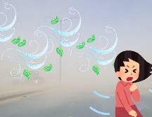 Un nuevo frente cercano a la frontera norte del territorio nacional, originará rachas fuertes de viento en algunos estados. SUN / ARCHIVO