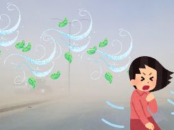 Un nuevo frente cercano a la frontera norte del territorio nacional, originará rachas fuertes de viento en algunos estados. SUN / ARCHIVO