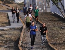 El exceso de tejido graso, en especial el exceso de grasa visceral, se relaciona en buena medida, afirma experto, “con un descuido de la salud del músculo”. EL INFORMADOR / ARCHIVO