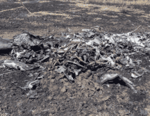 La información emitida detalla que el vehículo accidentado se trata de una aeronave de entrenamiento G-120 monomotor turbohélice, matrícula 6302 de la Fuerza Aérea Mexicana. ESPECIAL
