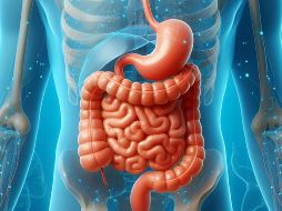 El aumento de dietas poco saludables y la falta de actividad física han contribuido a una mayor incidencia de hígado graso, una condición que puede evolucionar hacia problemas más graves si no se trata adecuadamente. Pixabay