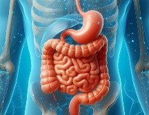 El aumento de dietas poco saludables y la falta de actividad física han contribuido a una mayor incidencia de hígado graso, una condición que puede evolucionar hacia problemas más graves si no se trata adecuadamente. Pixabay