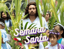 Durante la procesión del Domingo de Ramos no únicamente se permite el uso de ramas de palma, además se pueden portar ramos de olivo y otros árboles. SUN / ARCHIVO