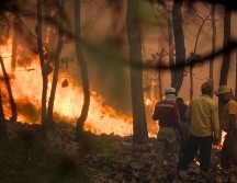 México sufre dos temporadas de incendios forestales al año, con la primera entre enero y junio para las zonas centro, norte, noreste, sur y sureste del país. EL INFORMADOR / ARCHIVO