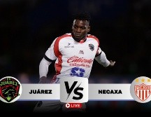 Los Bravos aparecen motivados luego de superar su propio récord histórico de puntos acumulados en un torneo. IMAGO7