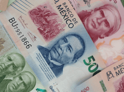 La Procuraduría Federal de la Defensa del Trabajo (Profedet) ofrece orientación jurídica gratuita para facilitar el acceso a este derecho. Unsplash.