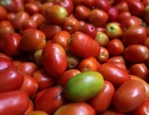 El Departamento de Comercio estadounidense dijo ayer lunes que se retiraba de un acuerdo de 2019 que había suspendido una investigación antidumping sobre las importaciones de jitomate fresco procedente de México. NTX / ARCHIVO